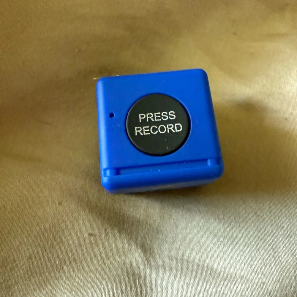 Blue Mini Motion Activated Security Camera